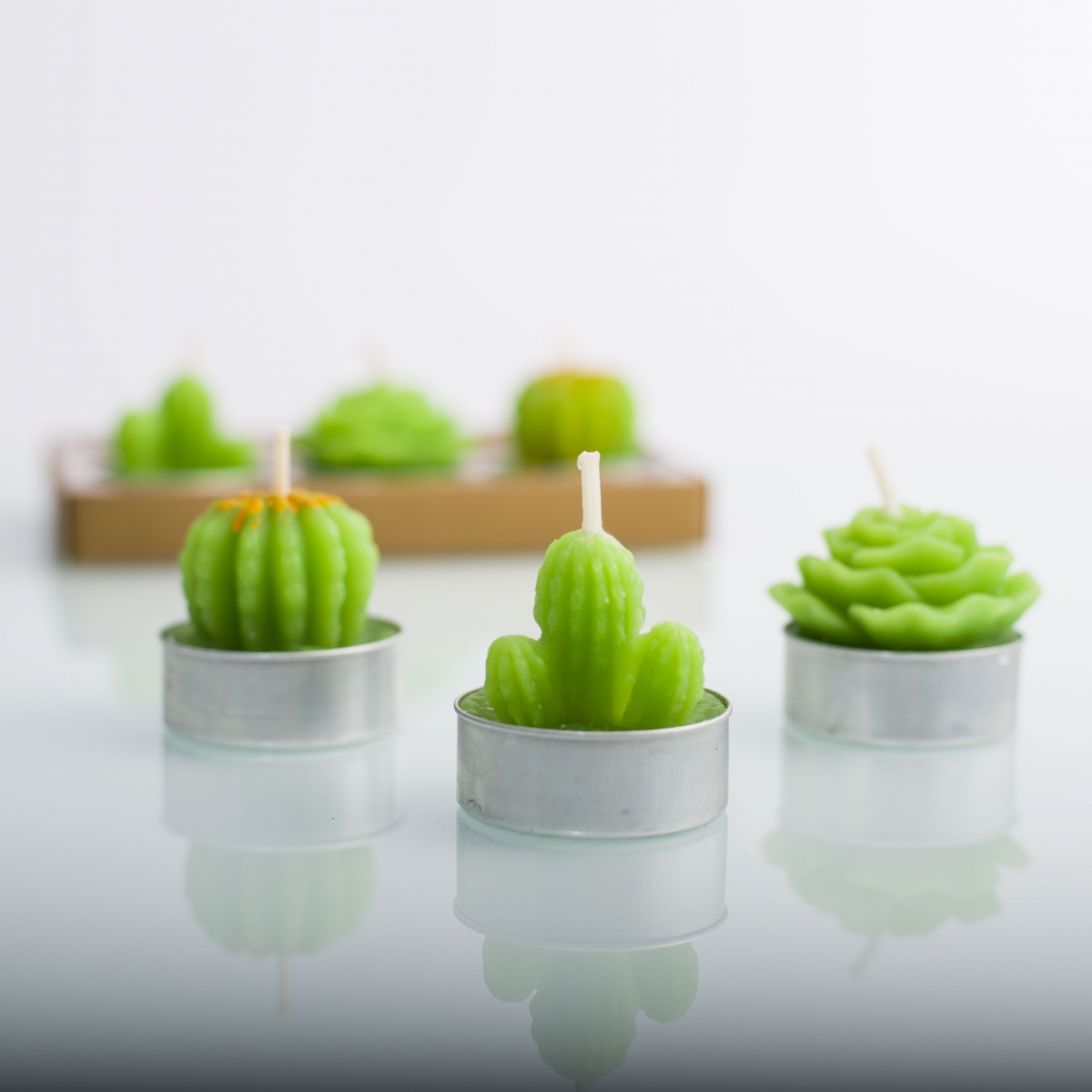 Tea Light Candles ：Green Colour ,Cactus Shape ,Beeswax ,Aluminum Shell ,Display Box ,China Factory ,Best Price-HOWCANDLE-Candles,Scented Candles,Aromatherapy Candles,Soy Candles,Vegan Candles,Jar Candles,Pillar Candles,Candle Gift Sets,Essential Oils,Reed Diffuser,Candle Holder,